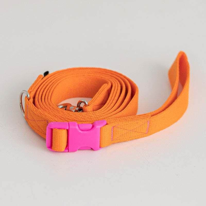 Candy Crayon Leash (6 colors)