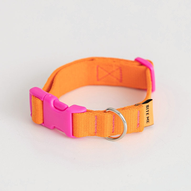 Candy Crayon Collar (6 colors)