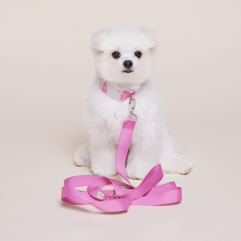 Makit Strawberry Pink Collar & Leash Set