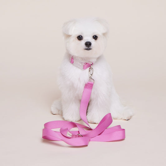 Makit Strawberry Pink Collar & Leash Set