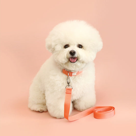 Makit Peach Coral Collar & Leash Set