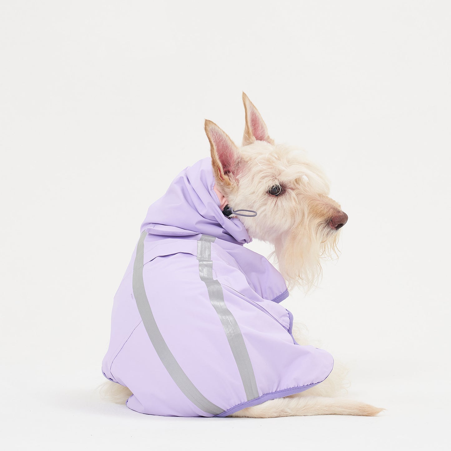 Grape Rain Coat (S-5L)