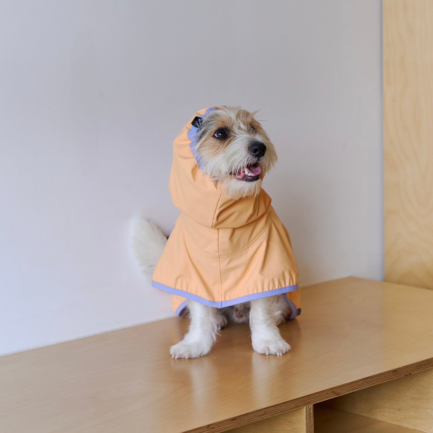 Apple Mango Rain Coat